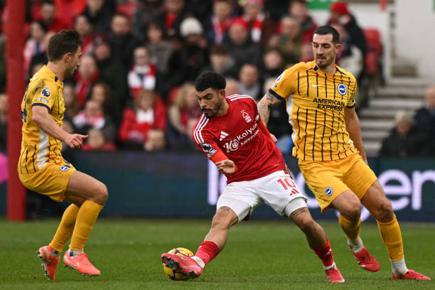 乒乓球的人 乒乓球的人